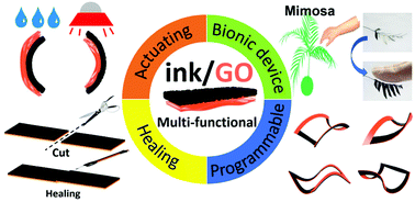 Graphical abstract: Chinese ink: a programmable, dual-responsive and self-sensing actuator using a healing–assembling method