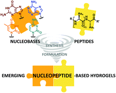 Graphical abstract: Emerging low-molecular weight nucleopeptide-based hydrogels: state of the art, applications, challenges and perspectives