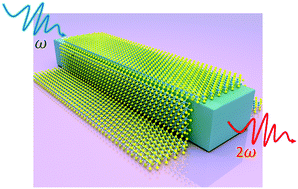 Graphical abstract: Silicon nitride waveguides with directly grown WS2 for efficient second-harmonic generation
