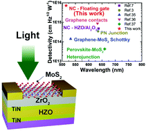 Graphical abstract: A floating gate negative capacitance MoS2 phototransistor with high photosensitivity