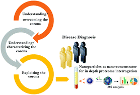 Graphical abstract: Nanoparticle protein corona evolution: from biological impact to biomarker discovery