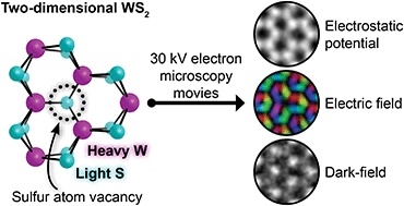 Graphical abstract: Imaging atomic motion of light elements in 2D materials with 30 kV electron microscopy