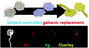 Graphical abstract: Synthesis of gold nano-mushrooms via solvent-controlled galvanic replacement to enhance phototherapeutic efficiency