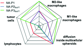 Graphical abstract: Impact of RAFT chain transfer agents on the polymeric shell density of magneto-fluorescent nanoparticles and their cellular uptake