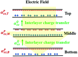 Graphical abstract: Interlayer electron flow and field shielding in twisted trilayer graphene quantum dots