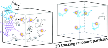 Graphical abstract: Widefield phototransient imaging for visualizing 3D motion of resonant particles in scattering environments