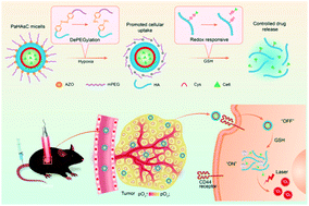 Graphical abstract: A dual-responsive nanoplatform with feedback amplification improves antitumor efficacy of photodynamic therapy