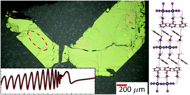 Graphical abstract: On the optical anisotropy in 2D metal-halide perovskites