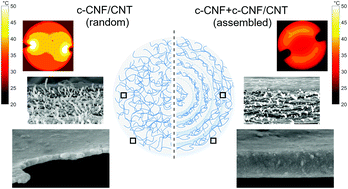 Graphical abstract: Self-assembled cellulose nanofiber–carbon nanotube nanocomposite films with anisotropic conductivity