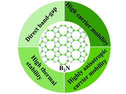 Graphical abstract: A B2N monolayer: a direct band gap semiconductor with high and highly anisotropic carrier mobility