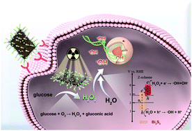 Graphical abstract: Z-Scheme heterostructures for glucose oxidase-sensitized radiocatalysis and starvation therapy of tumors