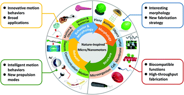 Graphical abstract: Nature-inspired micro/nanomotors
