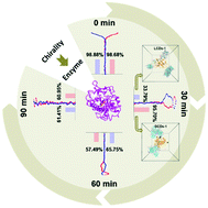 Graphical abstract: Chiral carbon dots – a functional domain for tyrosinase Cu active site modulation via remote target interaction