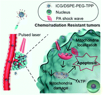 Graphical abstract: Undifferentiated destruction of mitochondria by photoacoustic shockwave to overcome chemoresistance and radiation resistance in cancer therapy