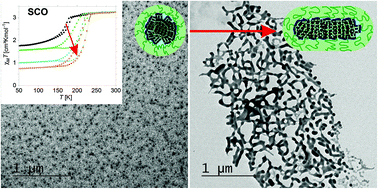 Graphical abstract: Realizing shape and size control for the synthesis of coordination polymer nanoparticles templated by diblock copolymer micelles