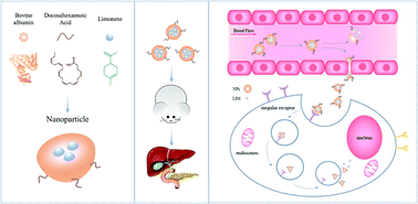 Graphical abstract: Targeting of gallbladder megalin receptors with DHA-conjugated limonene albumin nanoparticles