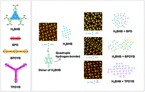 Graphical abstract: The self-assembly and pyridine regulation of a hydrogen-bonded dimeric building block formed by a low-symmetric aromatic carboxylic acid