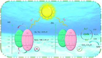 Graphical abstract: Active site regulated Z-scheme MIL-101(Fe)/Bi2WO6/Fe(iii) with the synergy of hydrogen peroxide and visible-light-driven photo-Fenton degradation of organic contaminants