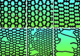 Graphical abstract: On the mechanical properties and fracture patterns of the nonbenzenoid carbon allotrope (biphenylene network): a reactive molecular dynamics study