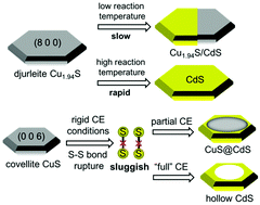 Graphical abstract: Crystal structure dependent cation exchange reactions in Cu2−xS nanoparticles