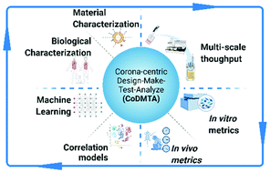 Graphical abstract: Physiology, pathology and the biomolecular corona: the confounding factors in nanomedicine design