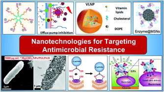 Graphical abstract: Emerging nanotechnologies for targeting antimicrobial resistance