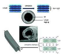 Graphical abstract: Stable Li metal anode in a lithiophilic shuttle