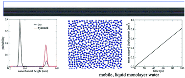 Graphical abstract: A molecular simulation study into the stability of hydrated graphene nanochannels used in nanofluidics devices