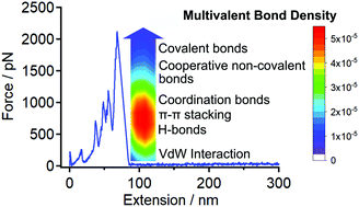 Graphical abstract: Multivalent non-covalent interactions lead to strongest polymer adhesion