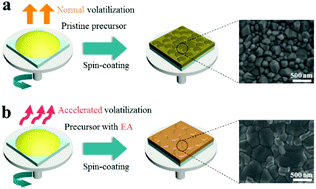 Graphical abstract: The disappearing additive: introducing volatile ethyl acetate into a perovskite precursor for fabricating high efficiency stable devices in open air