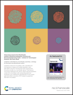 Graphical abstract: Inside back cover