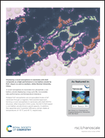 Graphical abstract: Inside back cover