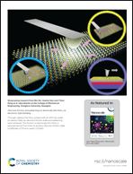 Graphical abstract: Back cover