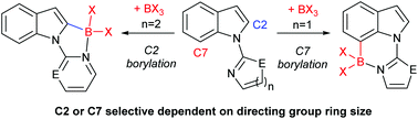 Graphical abstract: Controlling selectivity in N-heterocycle directed borylation of indoles