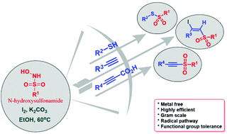 Graphical abstract: An iodine-mediated new avenue to sulfonylation employing N-hydroxy aryl sulfonamide as a sulfonylating agent