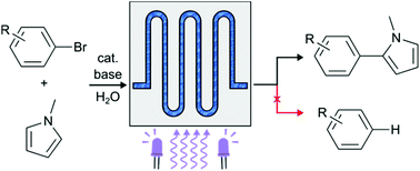 Graphical abstract: Selective photoredox direct arylations of aryl bromides in water in a microfluidic reactor