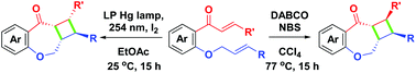 Graphical abstract: Synthesis of benzofused cyclobutaoxepanones via intramolecular annulation of o-cinnamyl chalcones