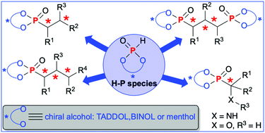 Graphical abstract: Asymmetric synthesis of organophosphorus compounds using H–P reagents derived from chiral alcohols