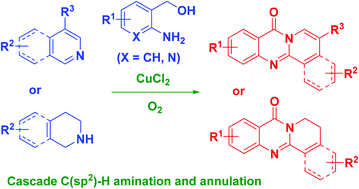 Graphical abstract: Copper-catalyzed synthesis of pyrido-fused quinazolinones from 2-aminoarylmethanols and isoquinolines or tetrahydroisoquinolines