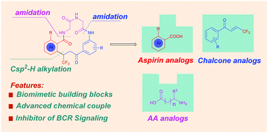 Graphical abstract: Rh-Catalyzed C–H alkylation enabling modular synthesis of CF3-substituted benzannulated macrocyclic inhibitors of B cell responses