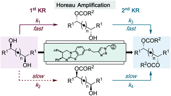Graphical abstract: Horeau amplification in the sequential acylative kinetic resolution of (±)-1,2-diols and (±)-1,3-diols in flow