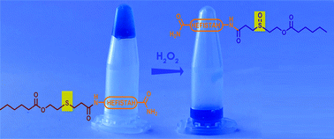 Graphical abstract: Synthesis and characterization of mono S-lipidated peptide hydrogels: a platform for the preparation of reactive oxygen species responsive materials