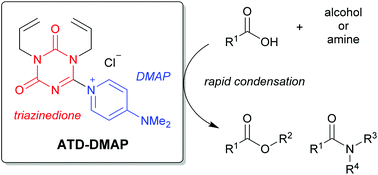 Graphical abstract: Development of a triazinedione-based dehydrative condensing reagent containing 4-(dimethylamino)pyridine as an acyl transfer catalyst