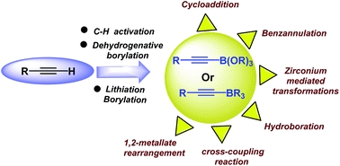 Graphical abstract: Synthesis and reactivity of alkynyl boron compounds