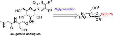 Graphical abstract: N-Glycosylation with sulfoxide donors for the synthesis of peptidonucleosides