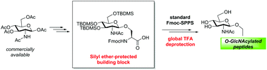 Graphical abstract: A silyl ether-protected building block for O-GlcNAcylated peptide synthesis to enable one-pot acidic deprotection