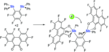 Graphical abstract: Distiboranes based on ortho-phenylene backbones as bidentate Lewis acids for fluoride anion chelation