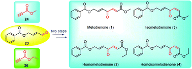 Graphical abstract: Total syntheses of melodienones by redox isomerization of propargylic alcohols
