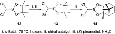 Graphical abstract: Studies on a catalytic version of the Matteson asymmetric homologation reaction