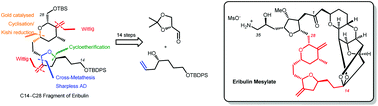 Graphical abstract: A concise/catalytic approach for the construction of the C14–C28 fragment of eribulin